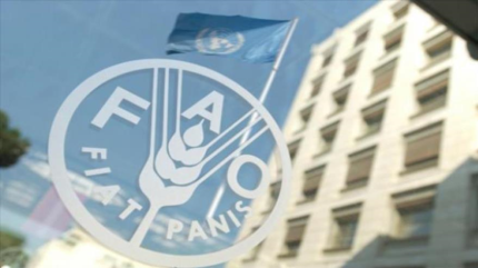FAO: Banco Europeo de Inversiones impulsará sector agrícola de Irán