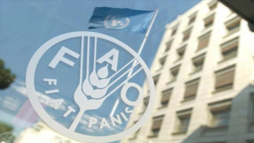 La Organización de las Naciones Unidas para la Agricultura y la Alimentación (FAO).