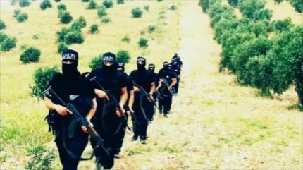 Grupo terrorista en Siria elogia ataques de Turquía contra los kurdos