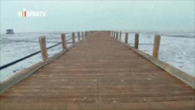 Irán Hoy - La sequía amenaza las lagunas y humedales de Irán