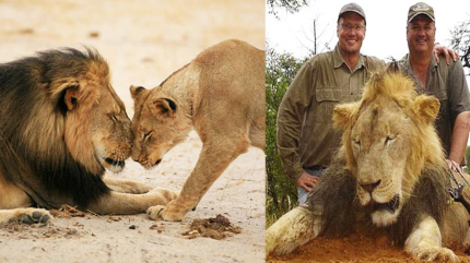 Zimbabue pide a EEUU la extradición del cazador que mató al león ‘Cecil’