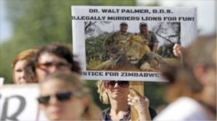 200 mil firmas piden a EEUU extradición del cazador de león Cecil