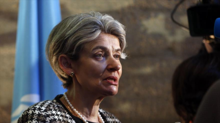 Unesco exige investigar asesinato de fotoperiodista mexicano