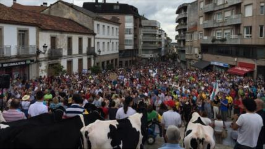 Manifestación en Lalín (noroeste de España) para reclamar precios garantizados por la leche que aseguren la subsistencia de los ganaderos, 12 de agosto de 2015.