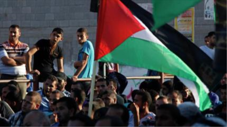 Los palestinos ondean su bandera en una protesta contra la ocupación israelí.