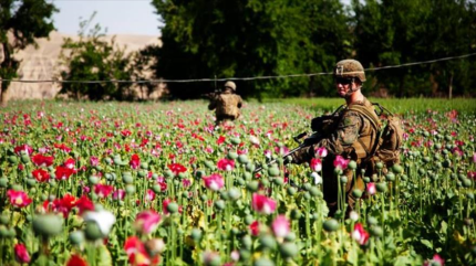 México abastece la mitad de heroína demandada por EEUU