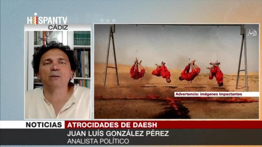 ‘No hay ninguna voluntad seria para acabar con Daesh’ 