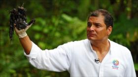 Correa acusa a Chevron de cometer crimen en la Amazonía durante casi tres décadas