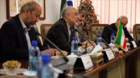 Organización de Energía Atómica de Irán saluda cooperaciones Teherán-Madrid