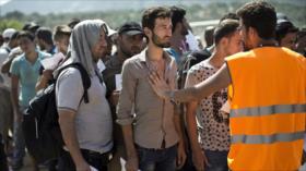 España acogerá a 14.391 solicitantes de asilo