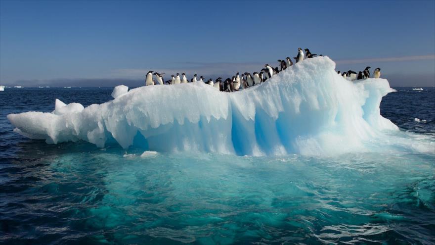 Si se utilizarán todas las reservas de combustible fósil existentes se derretiría todo el hielo de la Antártida debido cambio climático.