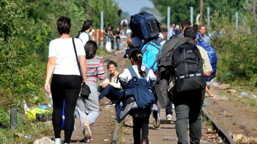 Los refugiados se acercan a la frontera entre Serbia y Hungría. 14 de septiembre de 2015