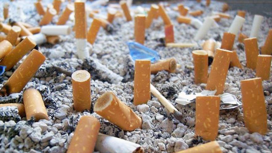 Un nuevo estudio revela que fumar durante mucho tiempo afecta al envejecimiento celular.