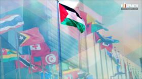 Izamiento de bandera palestina en ONU, símbolo de la lucha del pueblo