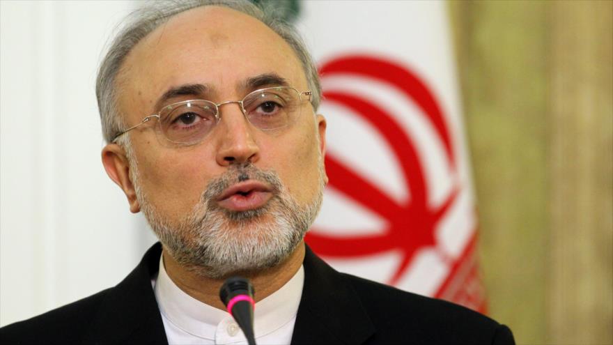 El jefe de la Organización de Energía Atómica de Irán (OEAI), Ali Akbar Salehi.