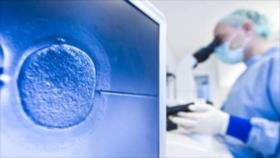 Científicos británicos quieren modificar genes de embrión humano