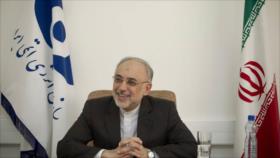 Jefe de OEAI espera que asuntos nucleares se resuelvan a finales del 2015