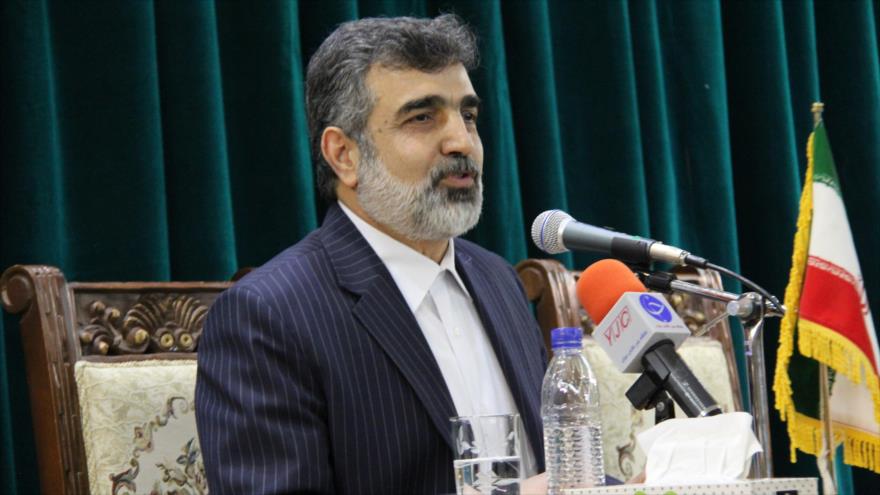 El portavoz de la Organización de Energía Atómica de Irán (OEAI), Behruz Kamalvandi.