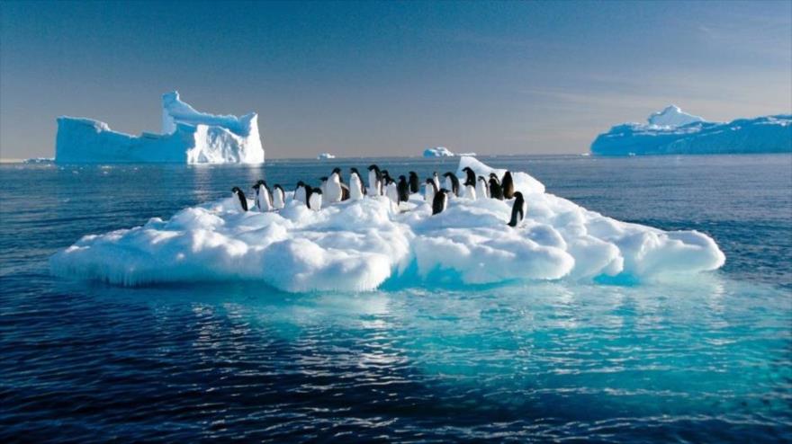 Un estudio alerta que el deshielo del Ártico tendrá devastadoras consecuencias para la economía mundial. 