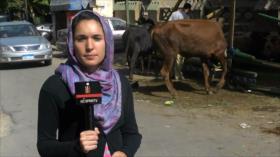 Egipto celebra Eid al-Adha en medio de represión gubernamental