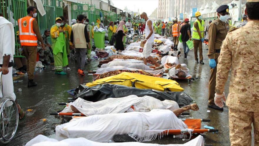 Cuerpos sin vida de peregrinos que perdieron la vida en la reciente estampida de Mina, cerca de La Meca.