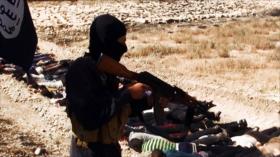 EIIL ejecuta a 70 miembros de una tribu iraquí en Al-Anbar 