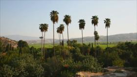 Irán - 1. Festival de niños y adolescentes 2. Complejo deportivo Azadi 3. Caravasar Ghasr-e Bahram 4. Atracciones de Kohkiluye y Boyer-Ahmad 
