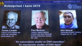 Nobel de Química para tres científicos por estudios sobre ADN