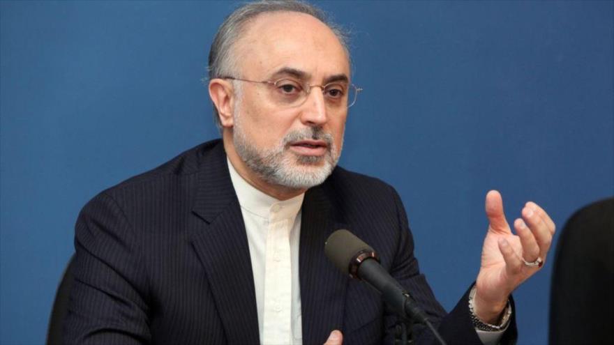 El vicepresidente y jefe de la Organización de Energía Atómica de Irán (OEAI), Ali Akbar Salehi.