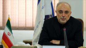 Salehi: Irán iniciaría la semana próxima implementación de sus compromisos en JCPOA