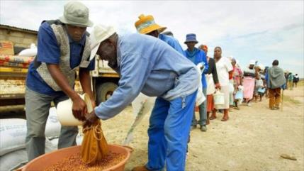 FAO aboga por ampliar protección social para acabar con el hambre
