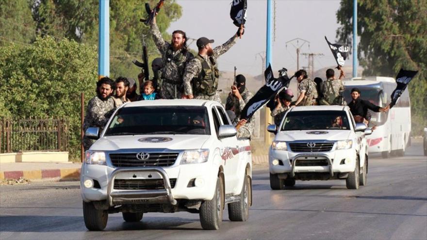 Terroristas de Daesh a bordo de vehículos todoterreno Toyota.