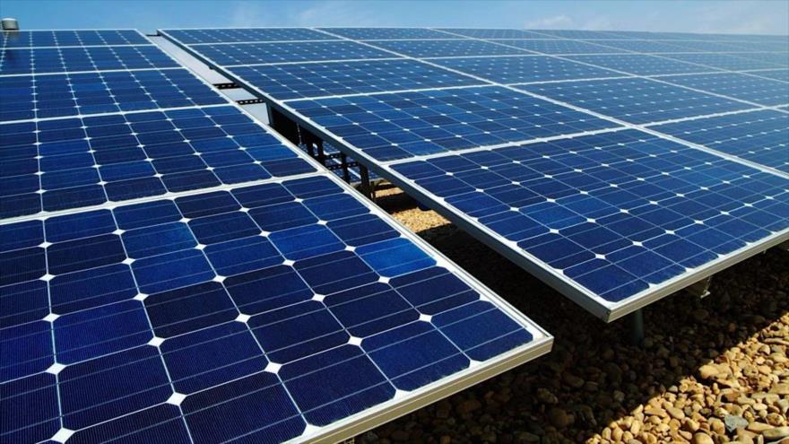 Una planta solar para absorber la luz del sol.