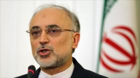 Irán y Rusia abordan plan para intercambiar combustible nuclear