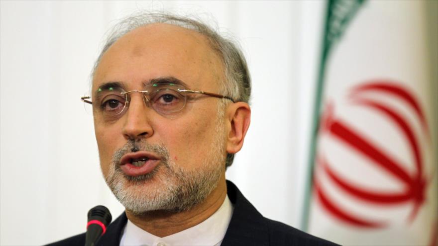 El jefe de la Organización de Energía Atómica de Irán (OEAI), Ali Akbar Salehi.