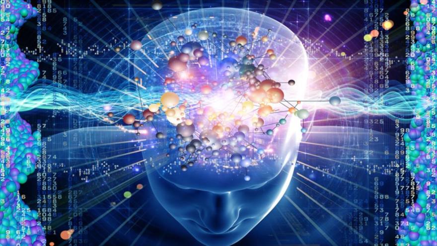 Un estudio halló que el cerebro tiene herramientas a nivel celular para olvidar la información innecesaria.