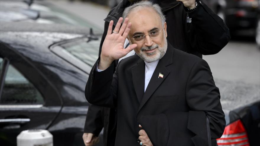 Ali Akbar Salehi, jefe de la Organización de Energía Atómica de Irán (OEAI).