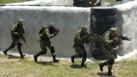 FARC: cese el fuego unilateral peligra por operaciones armadas de Gobierno