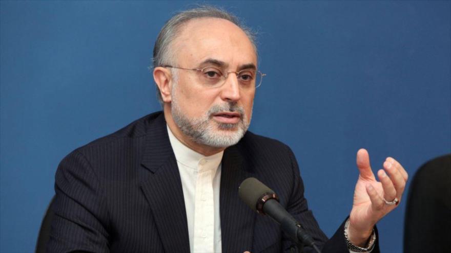 El jefe de la Organización de Energía Atómica de Irán (OEAI), Ali Akbar Salehi.