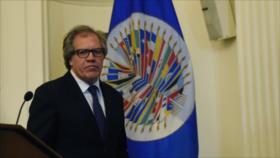 Uruguay: OEA está subordinado a intereses del imperialismo