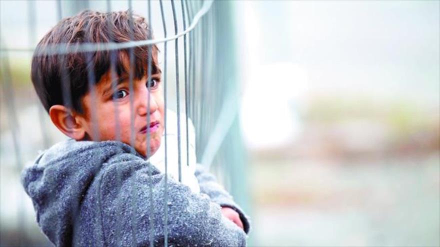 El Gobierno de Austria anunció que instalará una valla de tela metálica de 4 kilómetros en su frontera con Eslovenia contra el flujo de los refugiados 