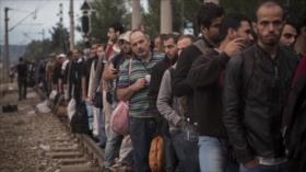 Polonia sugiere crear un ejército de refugiados sirios contra Daesh