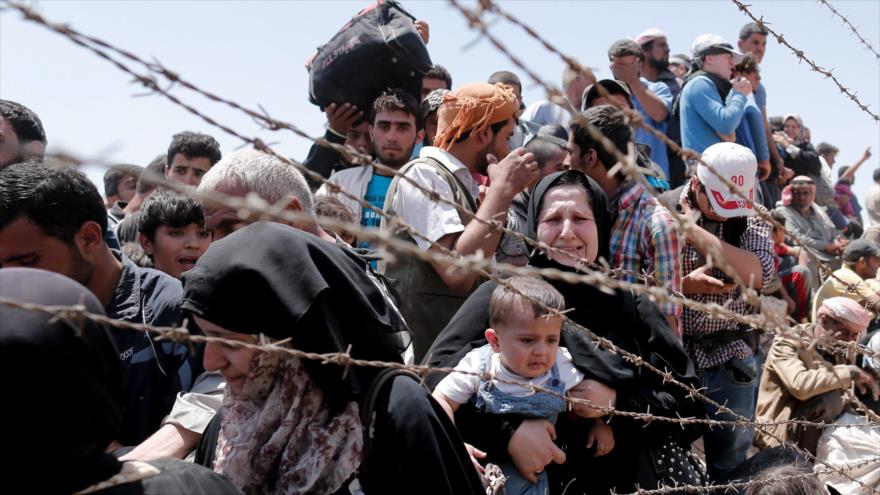 Refugiados sirios concentrados en frontera de Turquía.