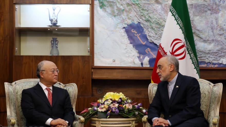  El director general de la Agencia Internacional de la Energía Atómica (AIEA), Yukiya Amano (izda), durante una reunión con el jefe de la Organización de la Energía Atómica de Irán (OEAI) Ali Akbar Salehi.