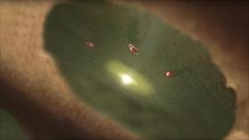 Video: observan por primera vez el nacimiento de un planeta