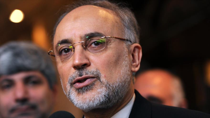 Jefe de la Organización de Energía Atómica de Irán (OEAI), Ali Akbar Salehi.