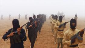 “Daesh posee campos de entrenamiento de terroristas en México”