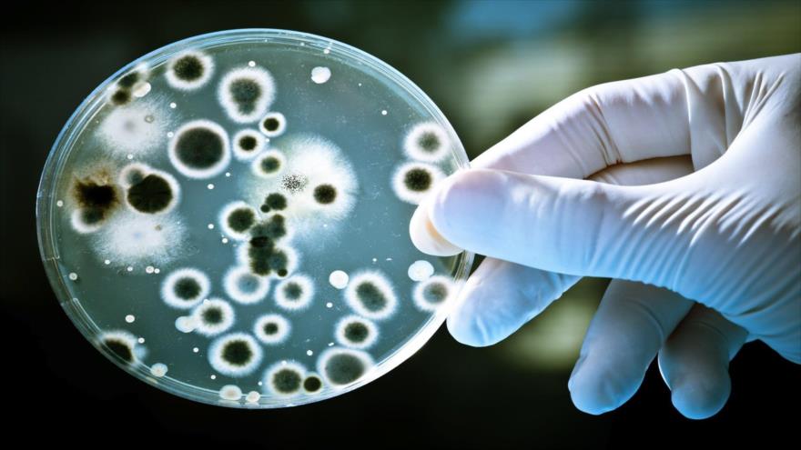 Investigadores identifican en China una bacteria resistente a los antibióticos.