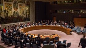 CSNU insta a los países a sumarse a la lucha contra Daesh en Irak y Siria