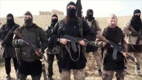 Senador republicano: EEUU sigue armando a terroristas en Siria